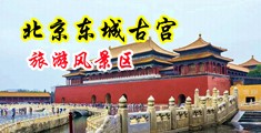 强行插入日韩美女下面破处的视频在线观看中国北京-东城古宫旅游风景区